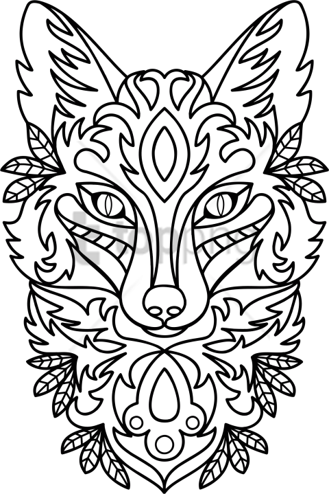 480x719 Drawing Fox Animal Eyes Png Image With Transparent Background Toppng