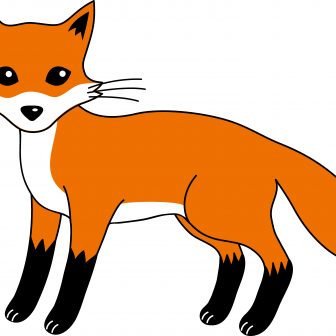 336x336 Cute Fox Drawing Pictures Tumblr And Easy Animal Cartoon