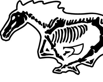 340x270 Fox Body Art Etsy