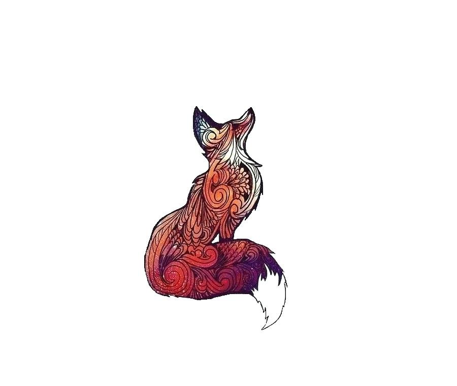 900x760 Fox Drawing Cute Fox Drawing Step