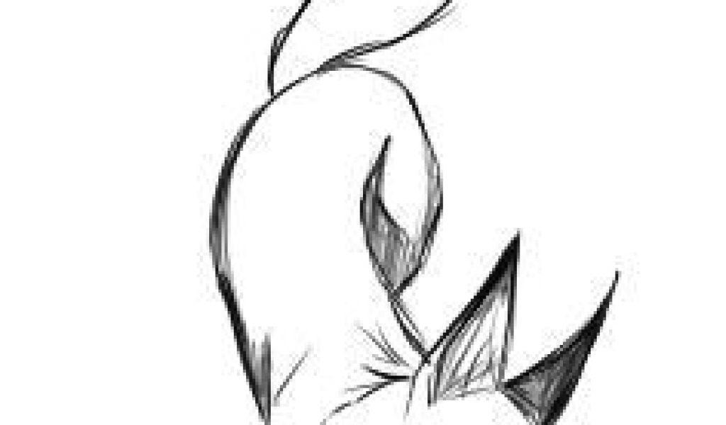1024x600 Fox Drawing Tumblr Fox Tattoo Ideas For Drawing Foxes Artist Fotos