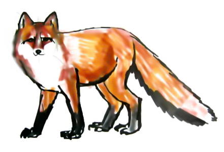 441x300 How To Draw A Fox
