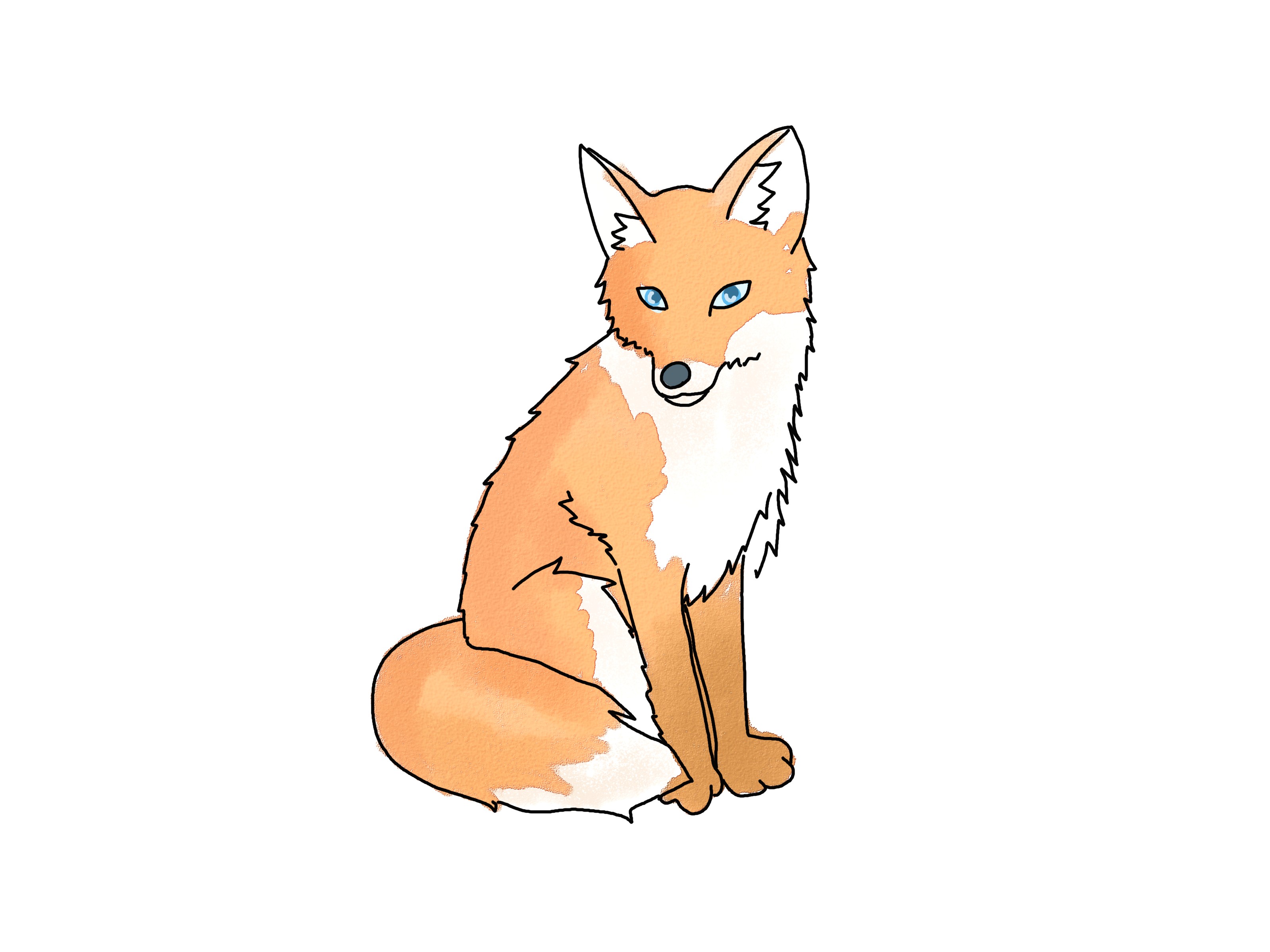 3200x2400 Simple Cute Fox Drawing