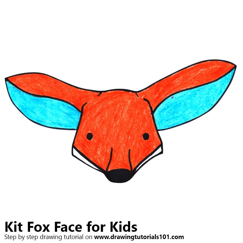800x800 Learn How To Draw A Kit Fox Face For Kids
