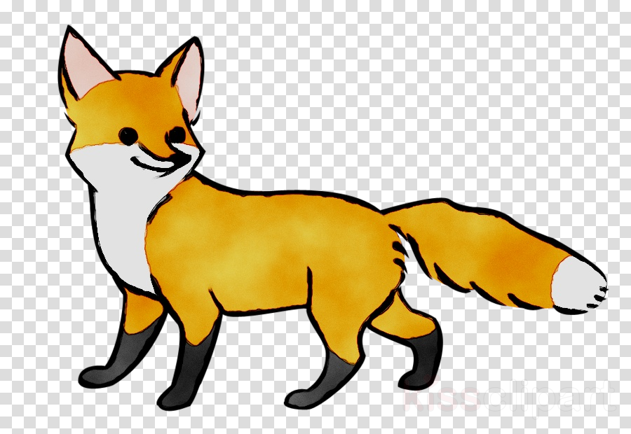 900x620 Download Clip Art Portable Network Graphics Red Fox Drawing