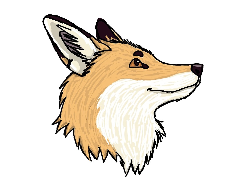 1000x773 Fox, Drawing, Animal, Head