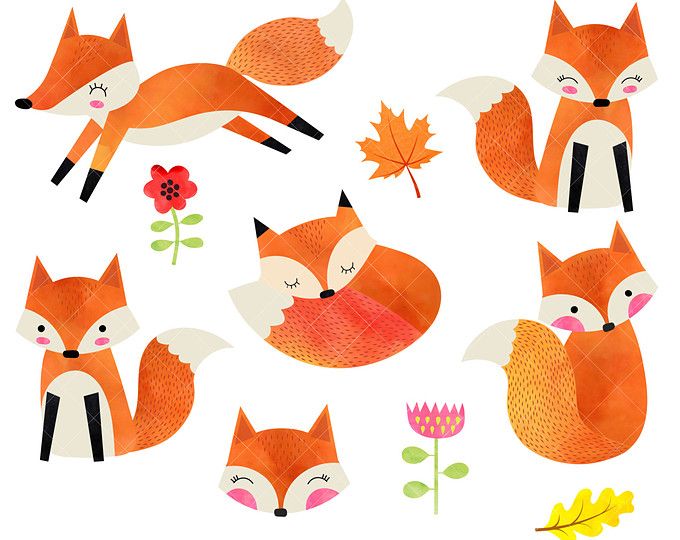 680x540 Watercolor Foxes Clipart Baby Woodland Animals
