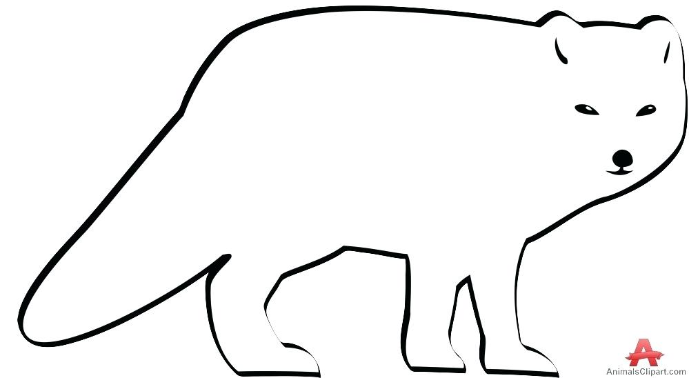 999x548 Easy Fox Drawing