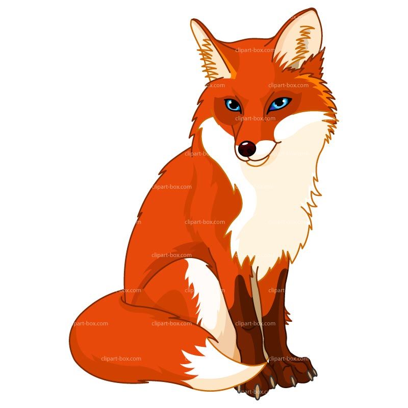 800x800 Baby Fox Clipart
