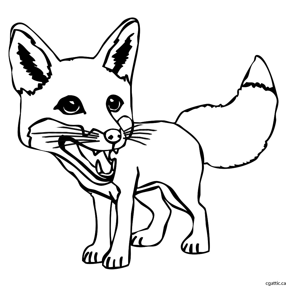 1000x1000 Cartoon Fox Drawing In Steps With Photoshop