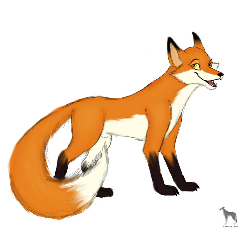 800x760 Cartoon Fox Wallpaper