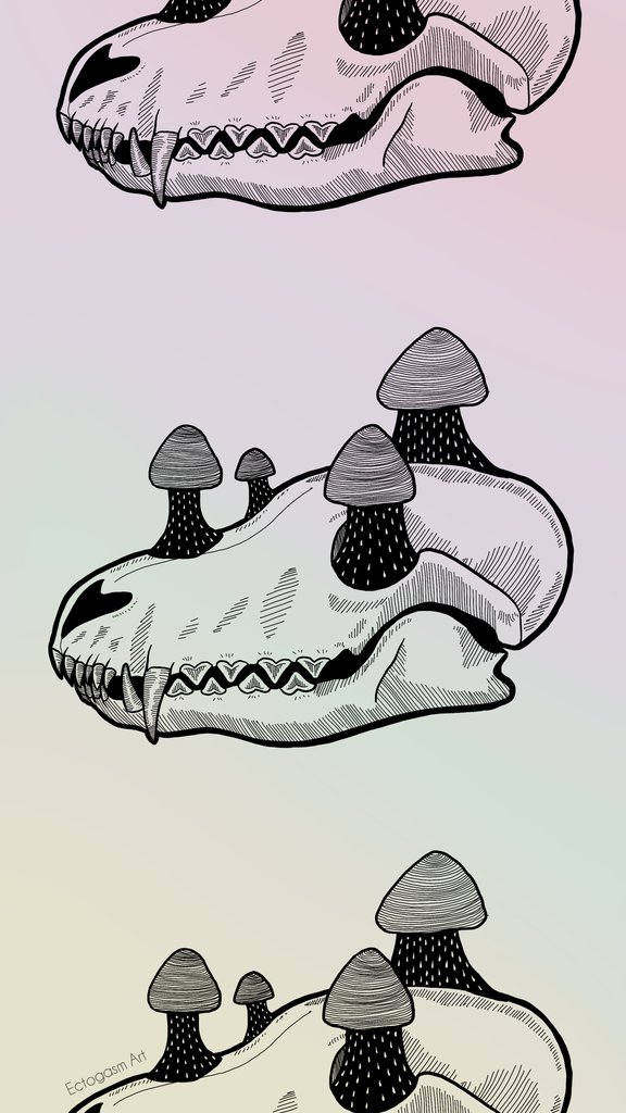 576x1024 Fox Skull Mushrooms Phone Wallpaper