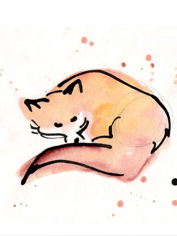 588x786 Wallpaper Of A Fox Foxes Fox Illustration