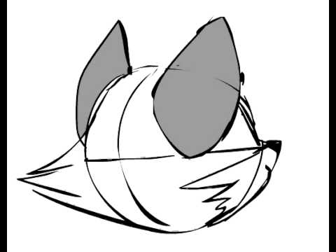 480x360 Rotating Fox Head
