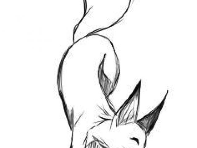 640x480 Fox Drawing Tumblr Fox Tattoo Ideas For Drawing Foxes Artist Fotos