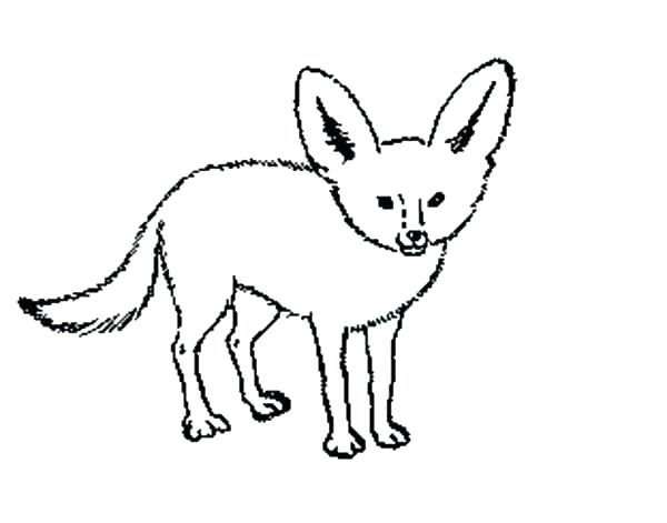 600x471 Fox Drawing For Kids