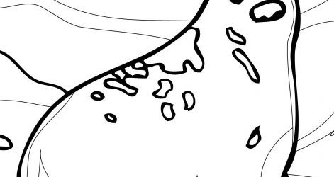 471x250 Arctic Fox Line Drawing Cartoon Cute Baby An Fursona Iydunetwork