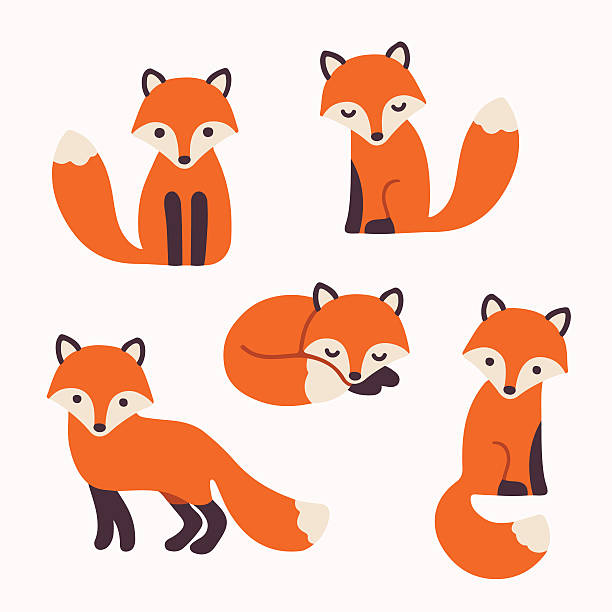 612x612 Fox Clipart