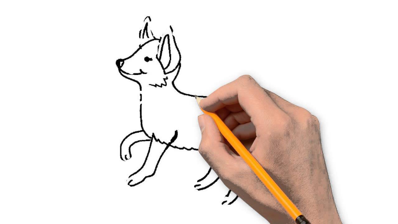 1280x720 Fox Animals Pencil To Draw Step