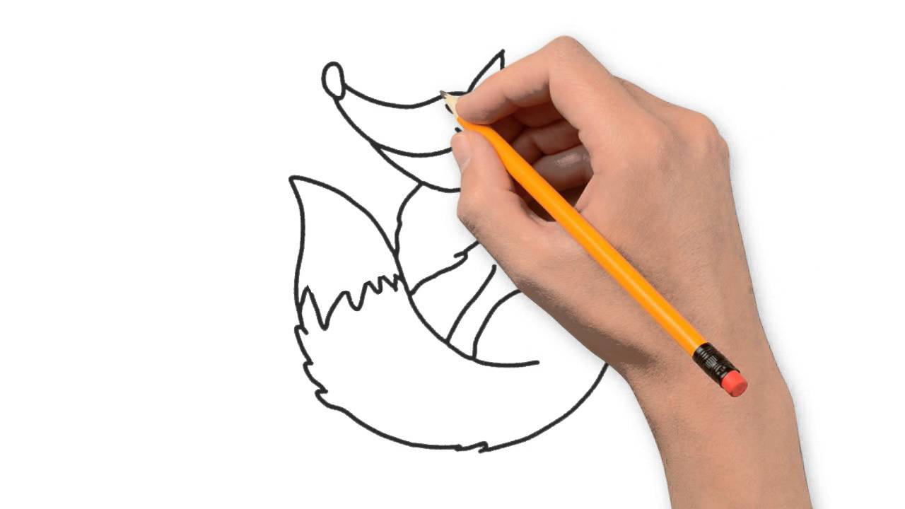 1280x720 Fox Or Fox Animals Pencil To Draw Step