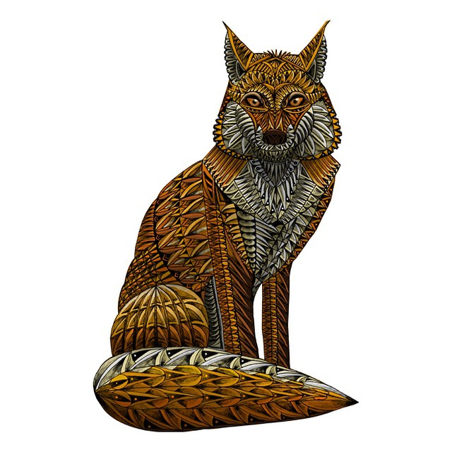 640x640 Ornate Fox