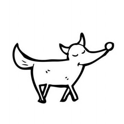 400x400 Fox Tail Express