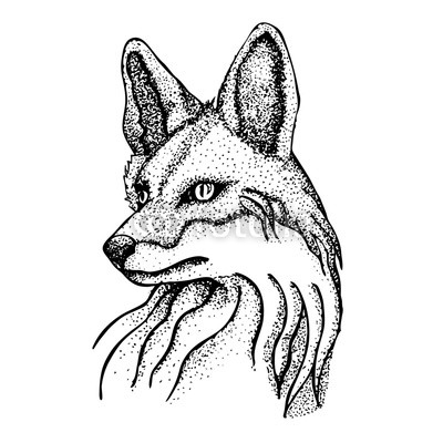 400x400 Fox Vector Image In The Style Of A Tattoo, Artwork, Drawing