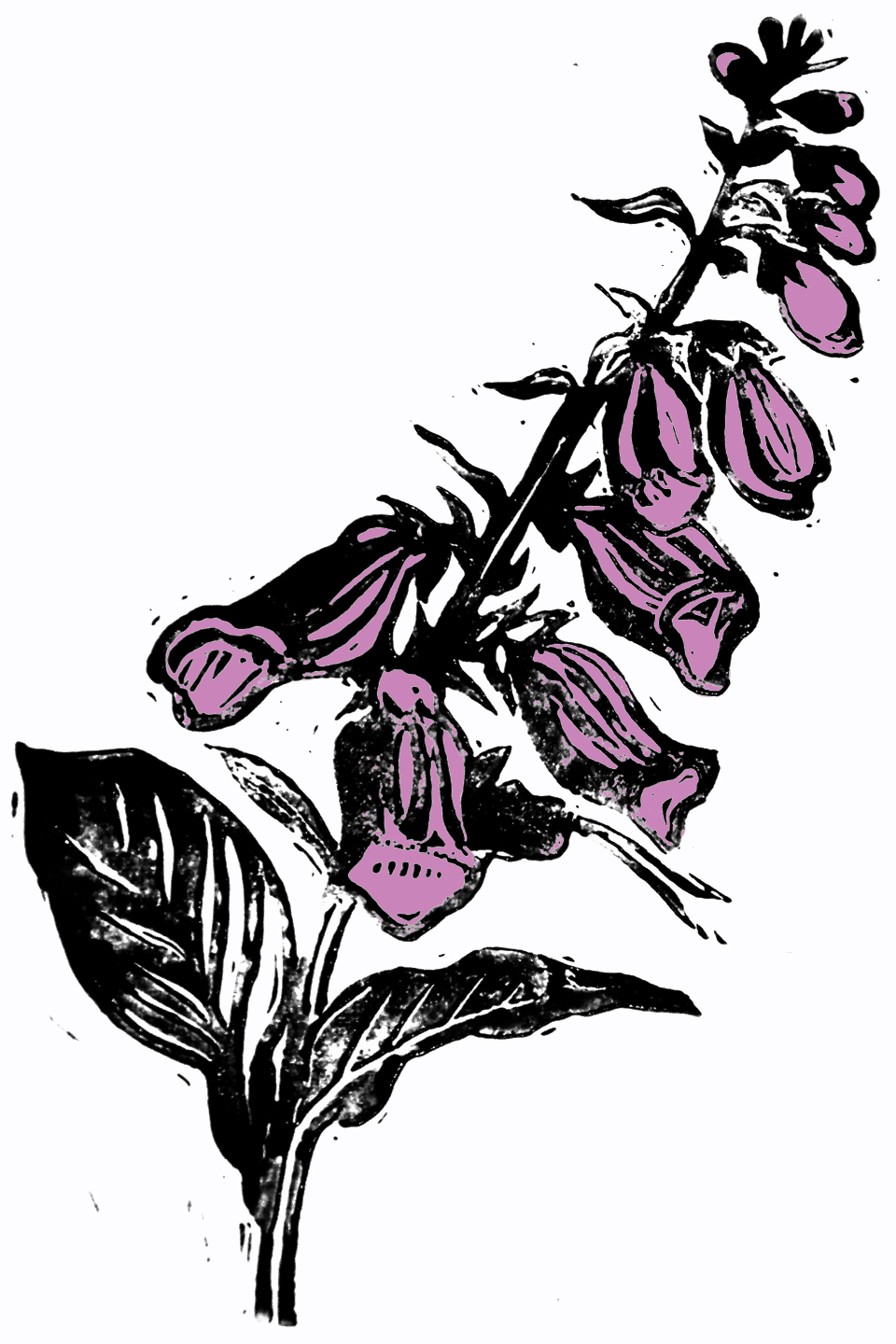 960x1440 Greg Schober