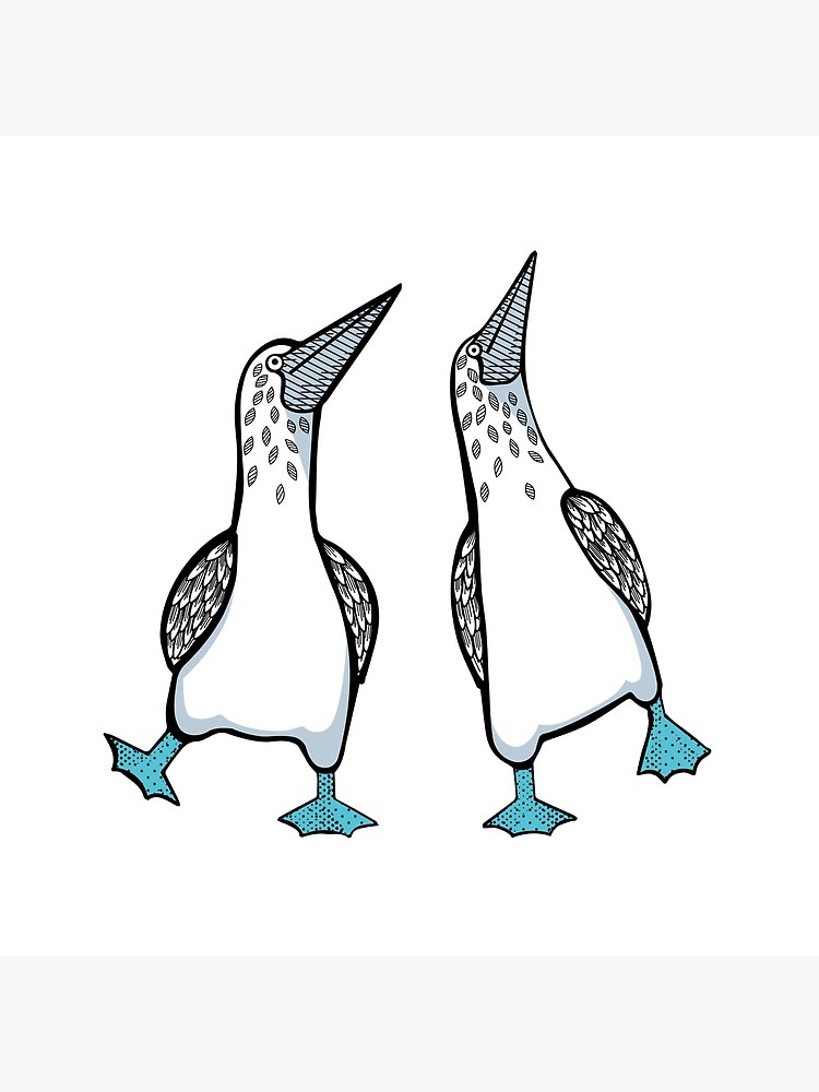 750x1000 Blue Footed Boobies