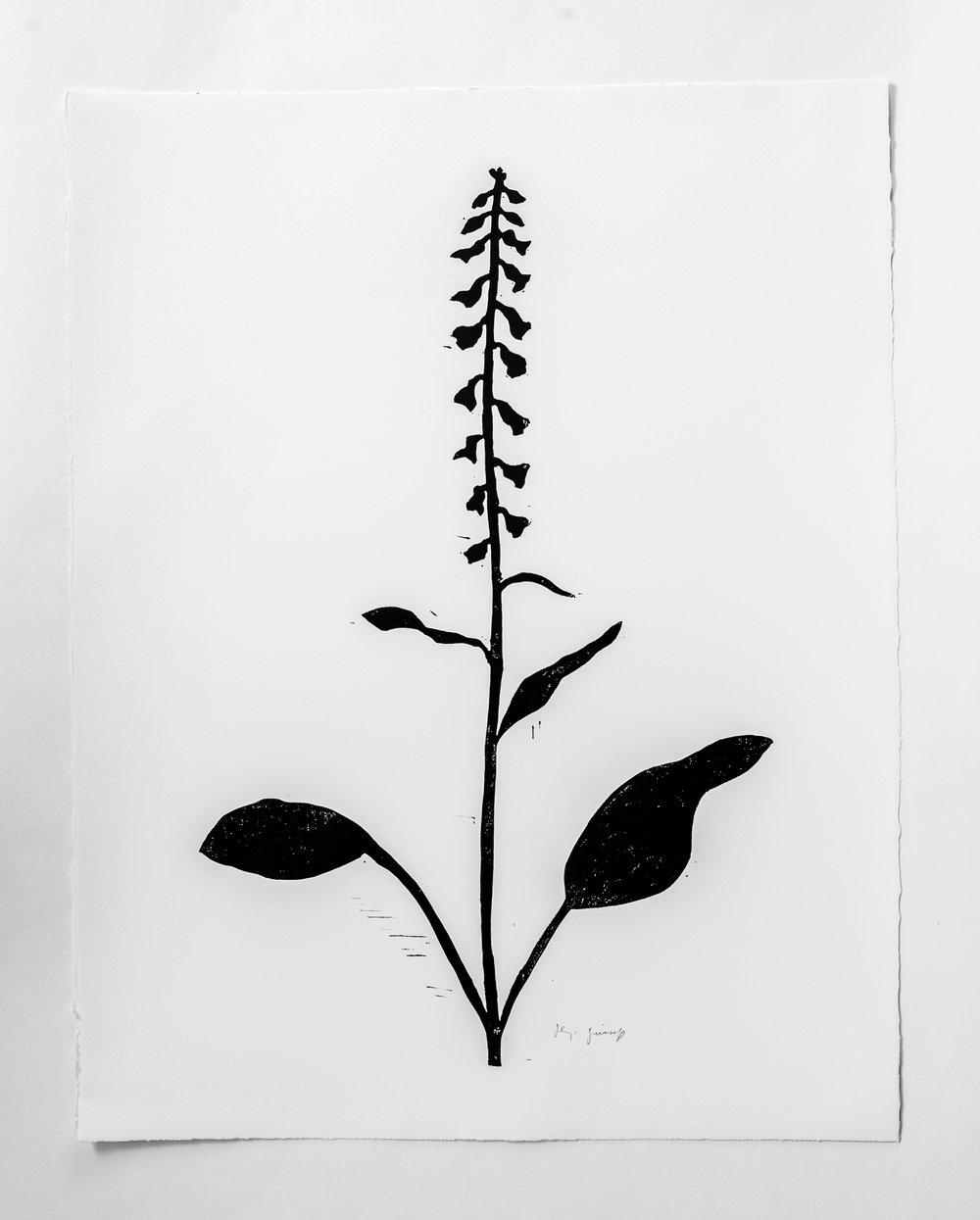 1000x1245 Shop Hugo Guinness