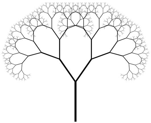 530x430 amazing fractals found in nature nature is math is love