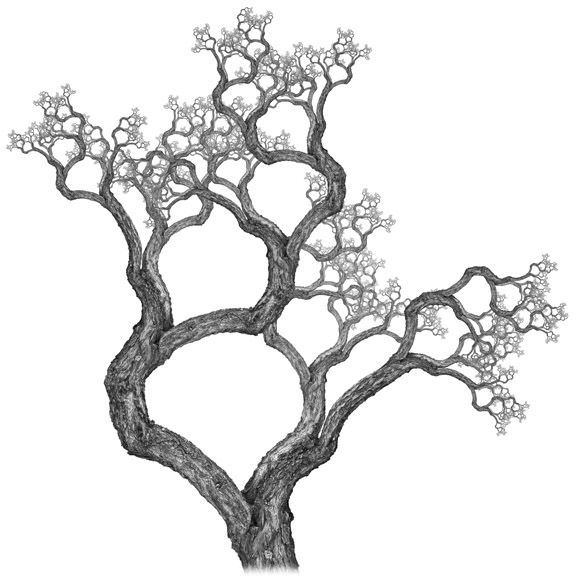 576x583 Fractal Drawing Free Download