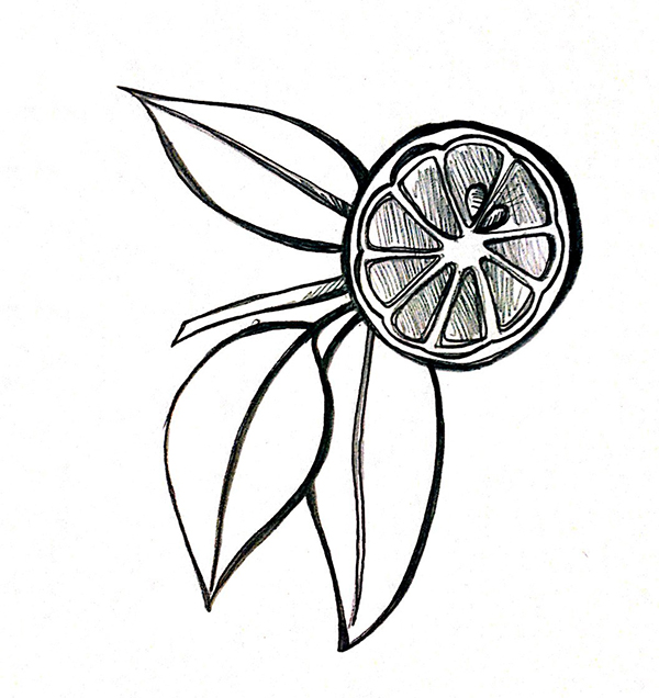 600x636 fragrance illustration