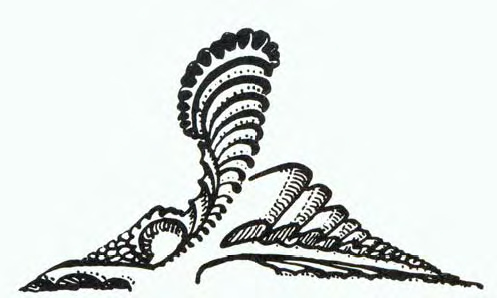 497x298 Bau Architecture