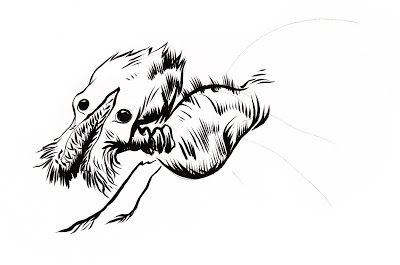 400x265 Pretty Good Blog February