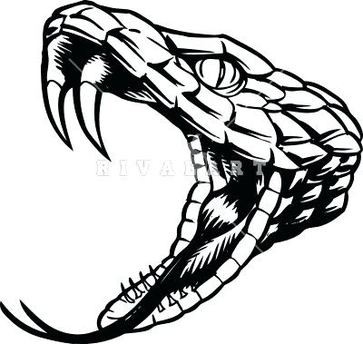 400x379 Draw Snake Head How Do You Draw A Two Headed Snake
