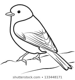 264x280 Bird Outline