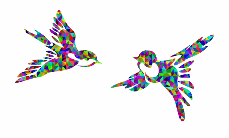 920x554 Bird Silhouette Flight Drawing Animal