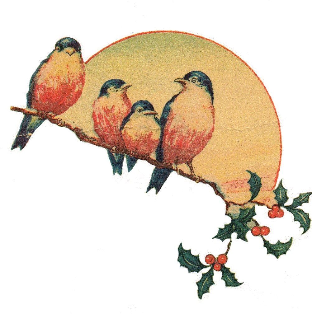 1002x1009 Bird Clipart Vintage For Free Download And Use In Presentations