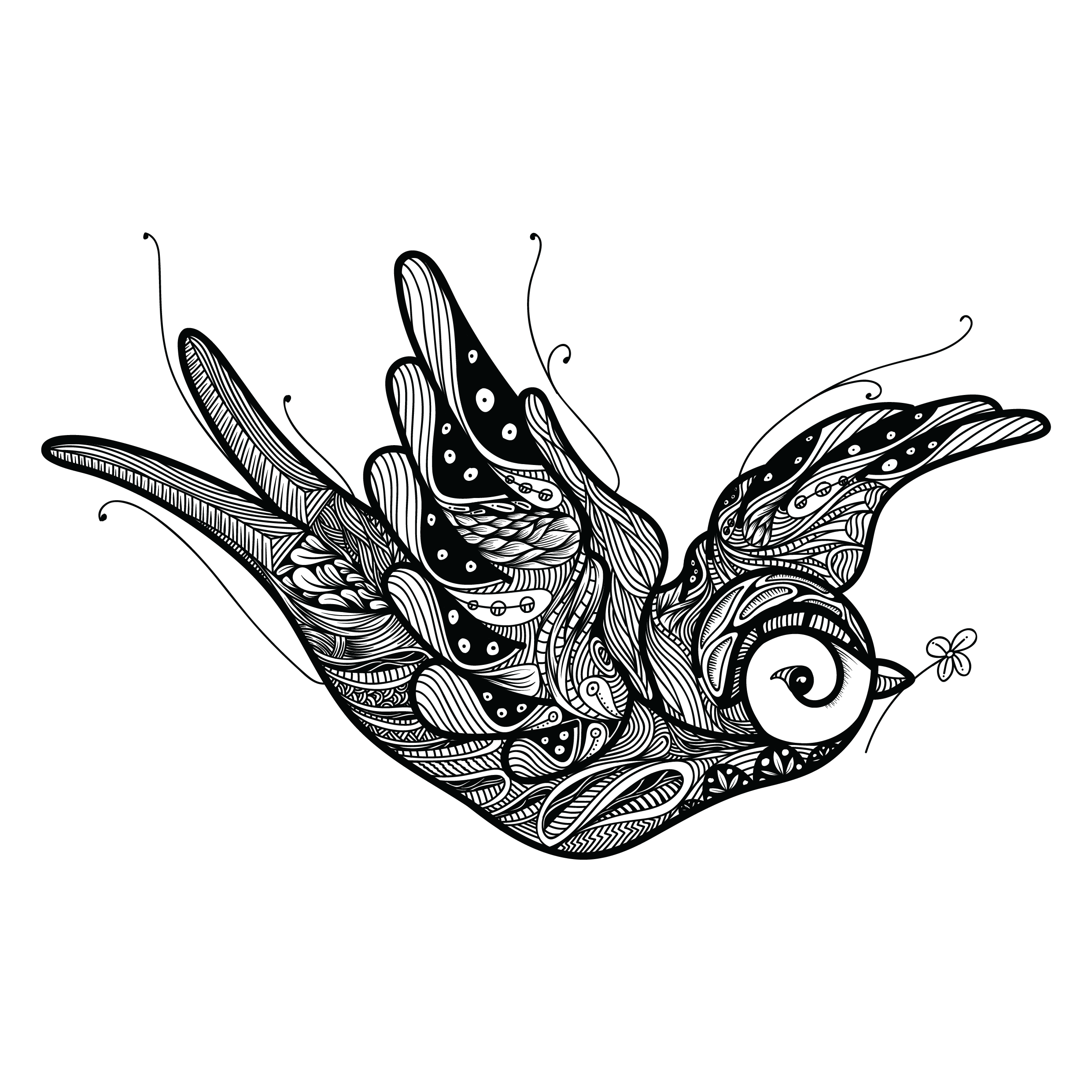 2480x2480 Collection Of Free Bird Drawing Design Download On Ui Ex