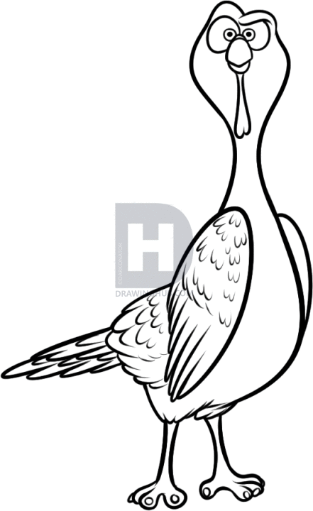 441x720 How To Draw Reggie From Free Birds, Step