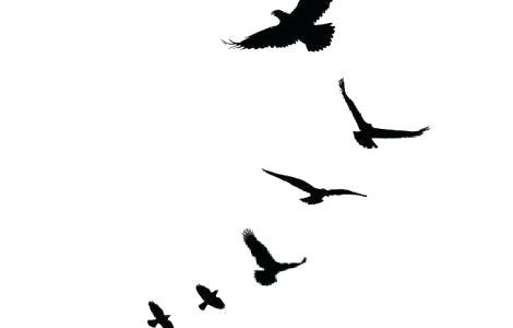 470x300 Simple Bird Outline Simple Bird Tattoos Designs Free Bird Tattoo