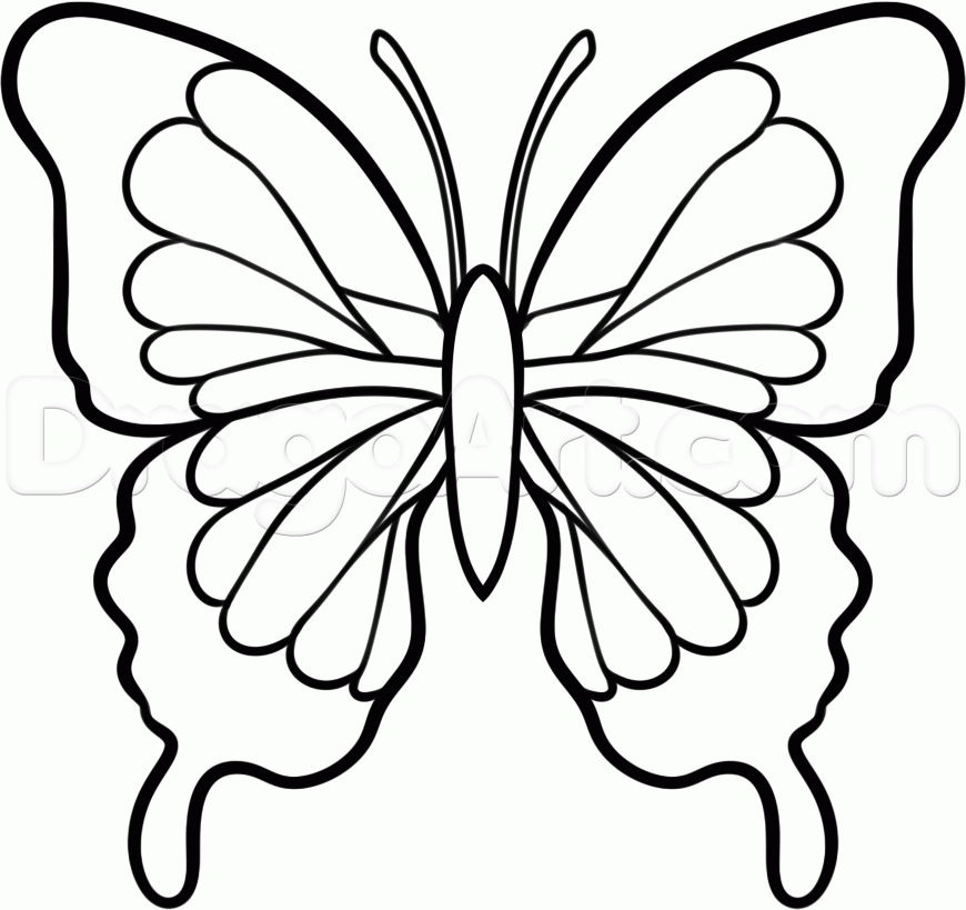 Free Butterfly Drawings