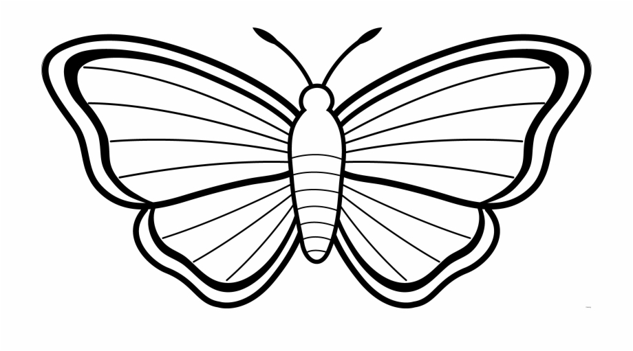 920x511 Clipart Butterfly Outline Free Images Clip Art Butterflies