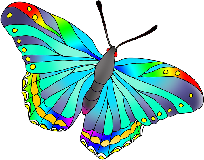 709x554 Collection Of Free Butterflies Drawing Color Download On Ui Ex