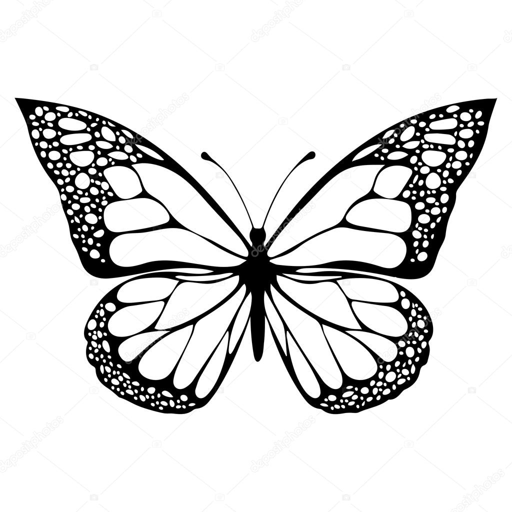 1024x1024 Opportunities Drawing Butterfly Pictures Free Drawings Download