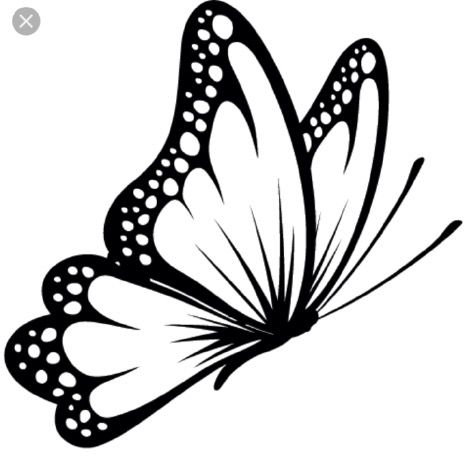 469x465 Butterfly Clipart Black And White Black And White Butterfly