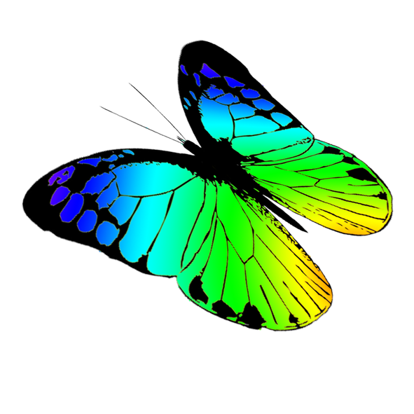 591x591 Butterfly Clipart