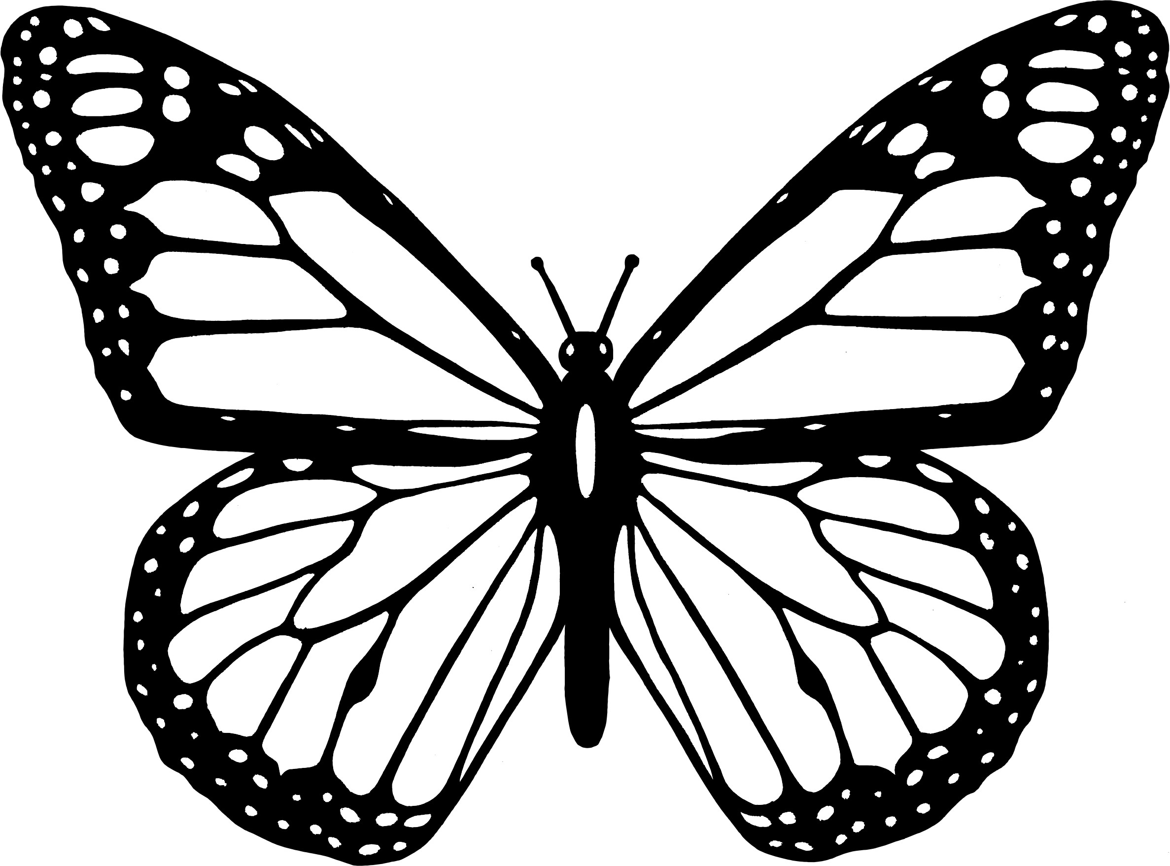 2374x1757 Butterfly Coloring Pages Crafts