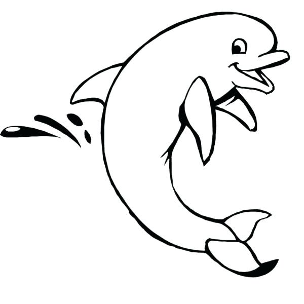 600x600 Dolphin Outline Drawing